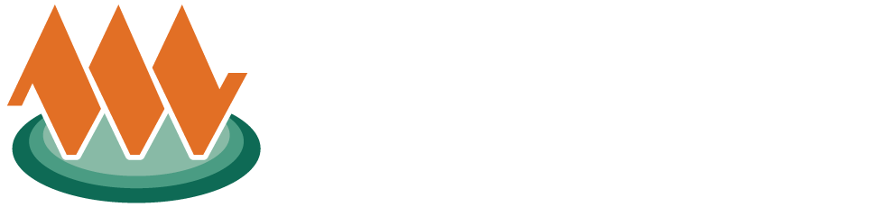 Wadsworth Foundation logo